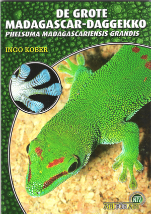 De Grote Madagascar-Daggekko (NL)